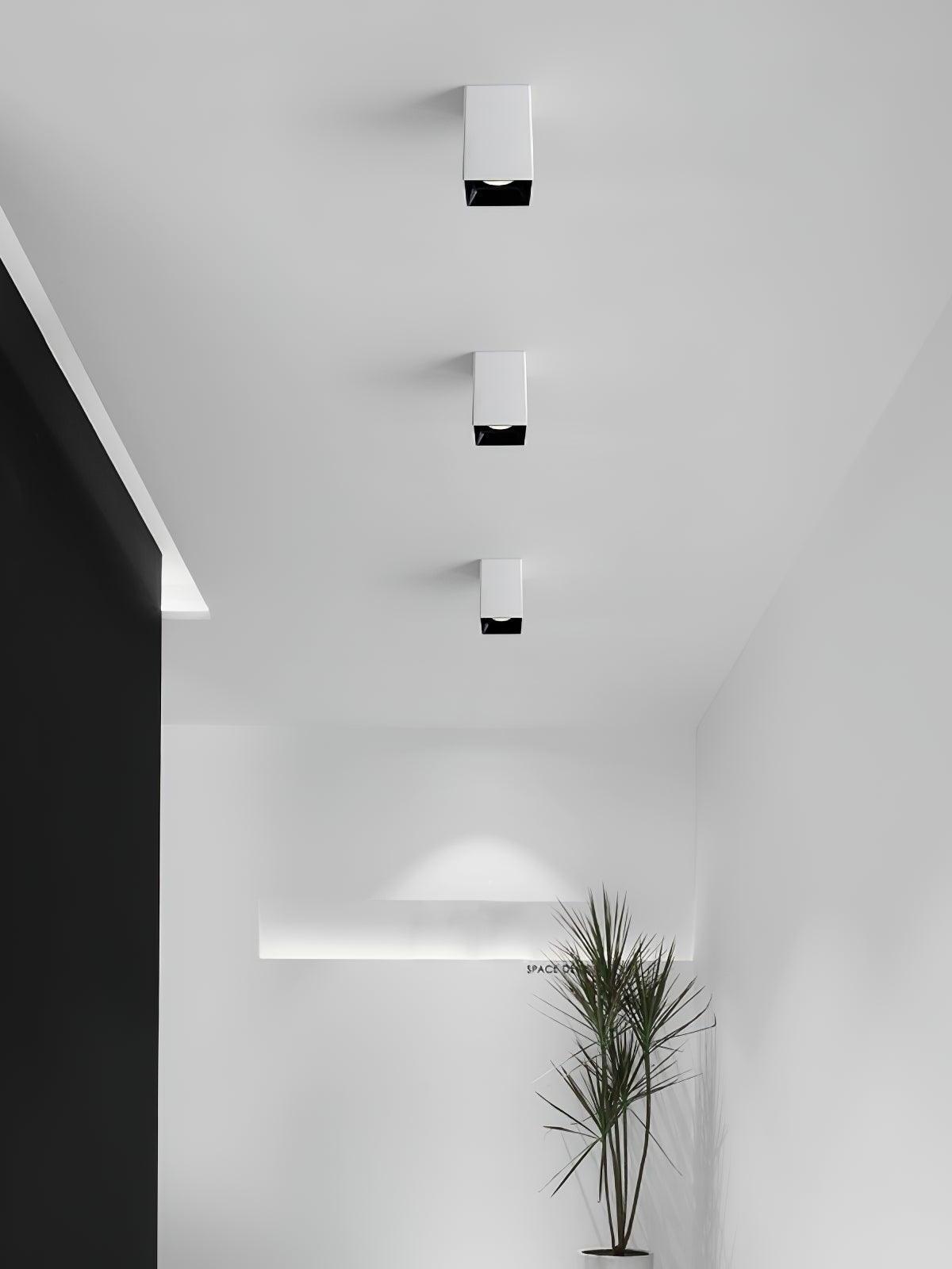 Three white square ceiling spots in a hallway above a potted plant and a wall recess