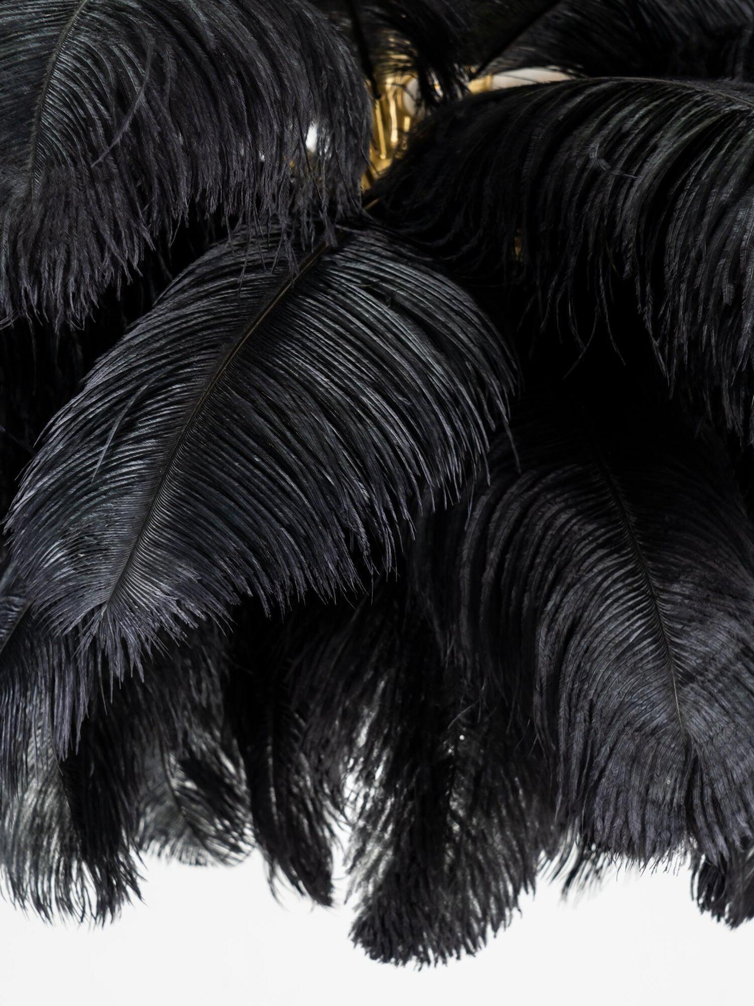 Ostrich Feather Chandeliers - Cueteks