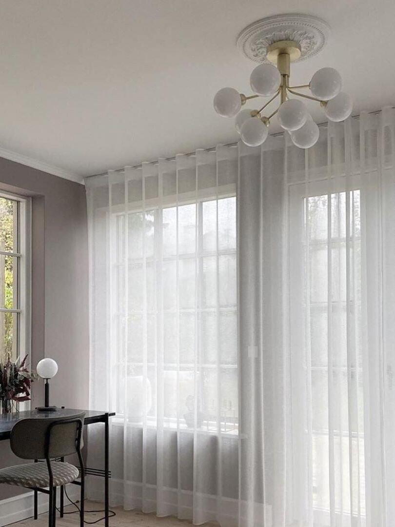 Apiales Chandeliers - Cueteks