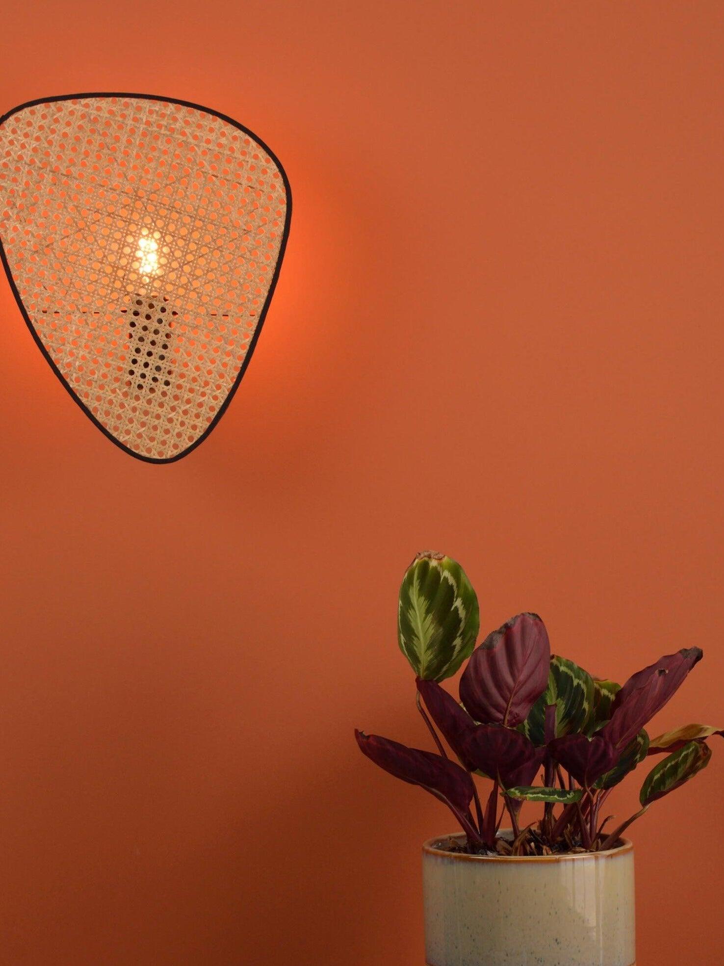 Rustic Bamboo Natural Screen Cannage Sconce - Cueteks