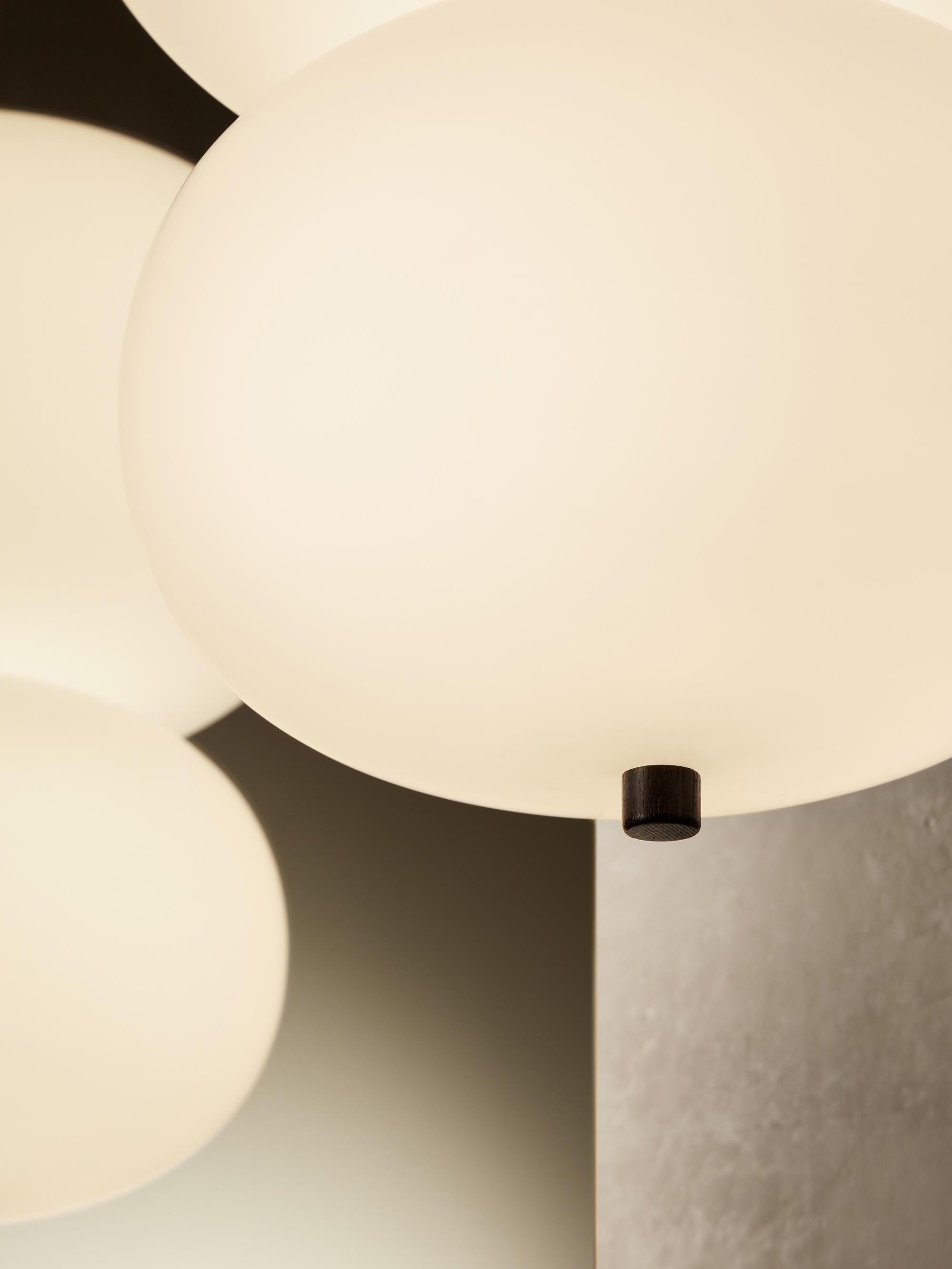 Close-up of glowing globe and black stem end