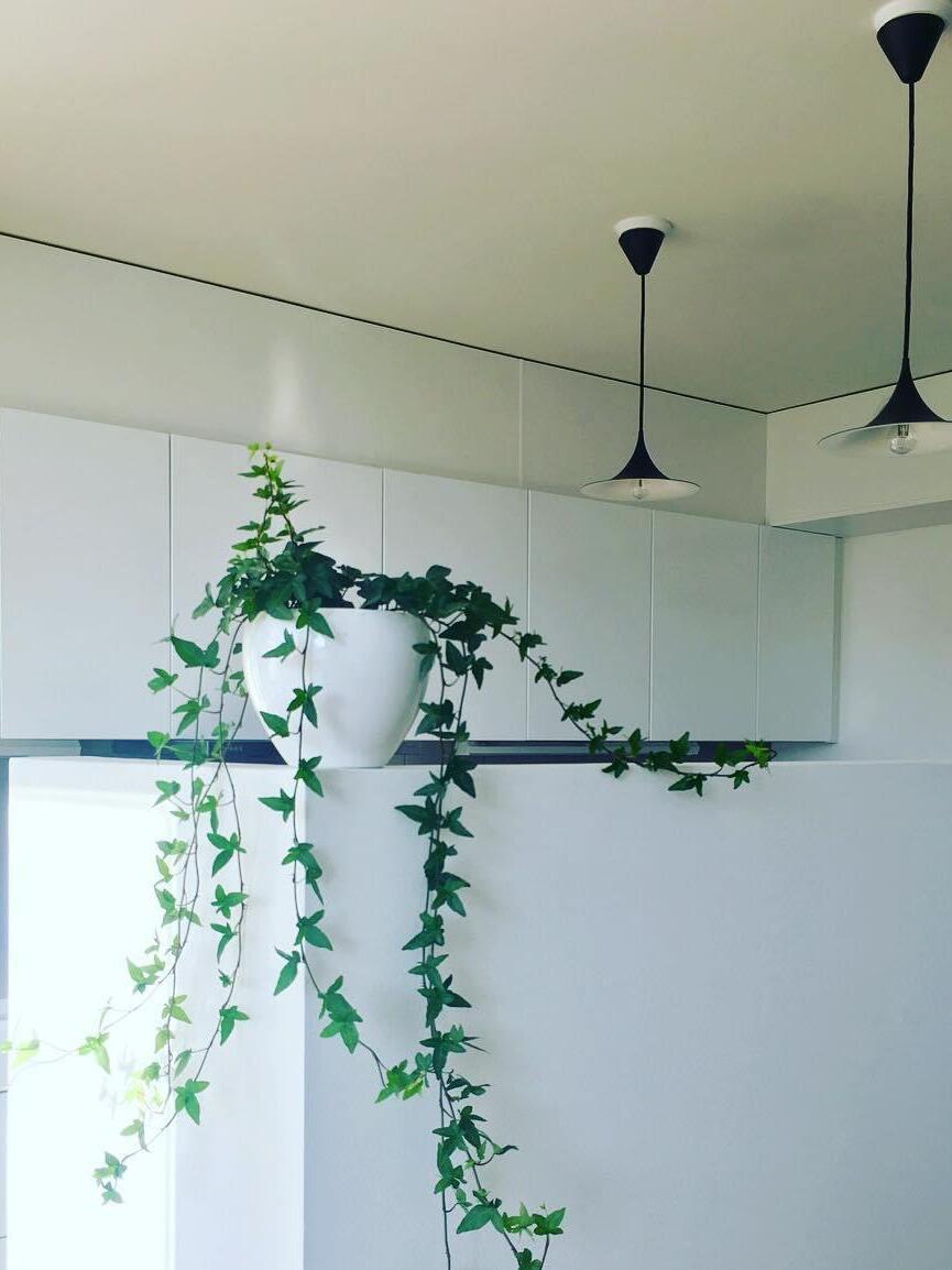 Semi Pendant Light - Cueteks
