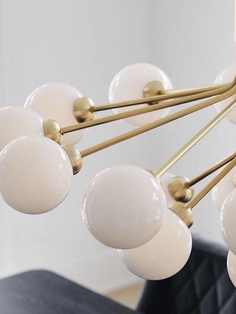 Apiales Chandeliers - Cueteks