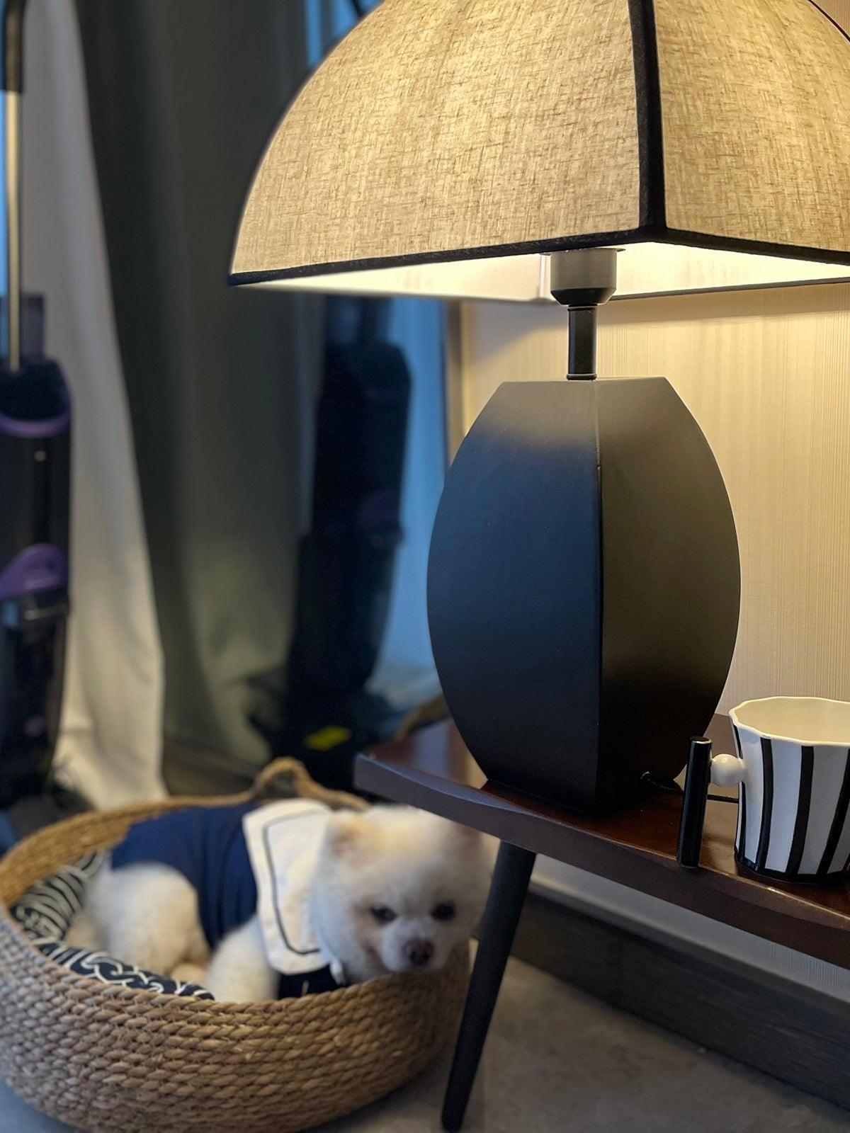 Javier lamp on side table beside dog bed