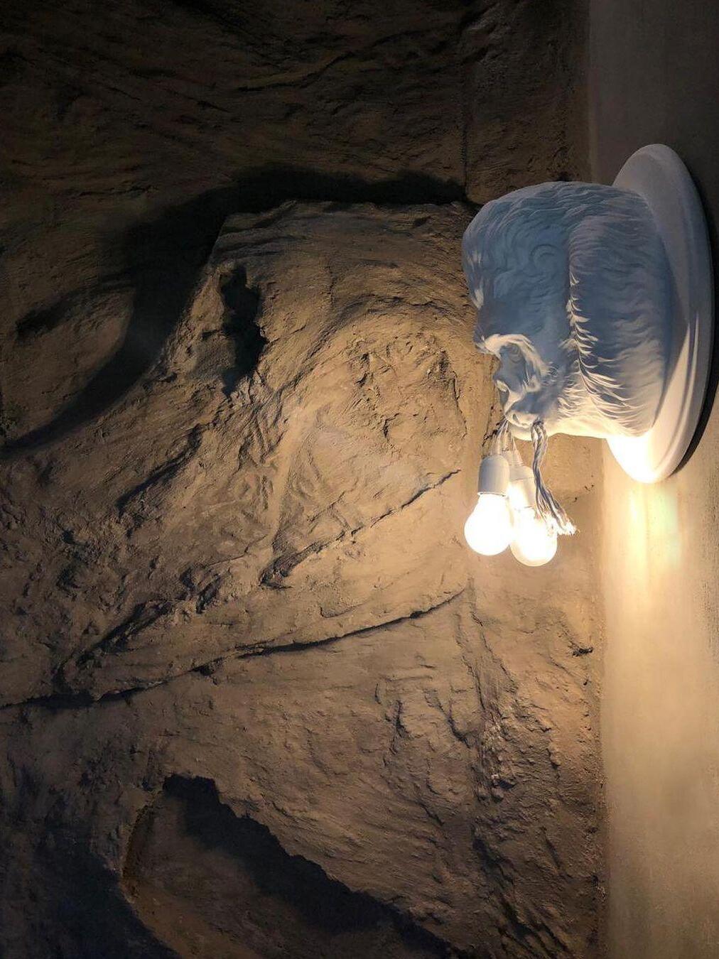 White gorilla profile with warm light beside rough rock wall