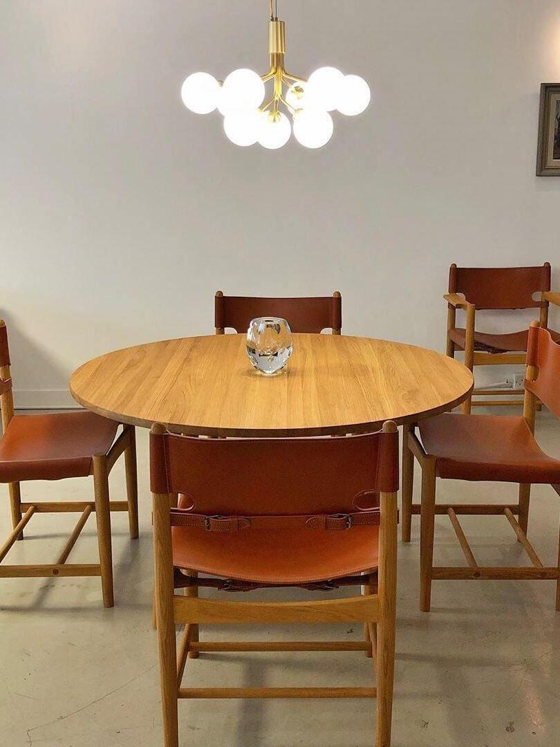Apiales Chandeliers - Cueteks