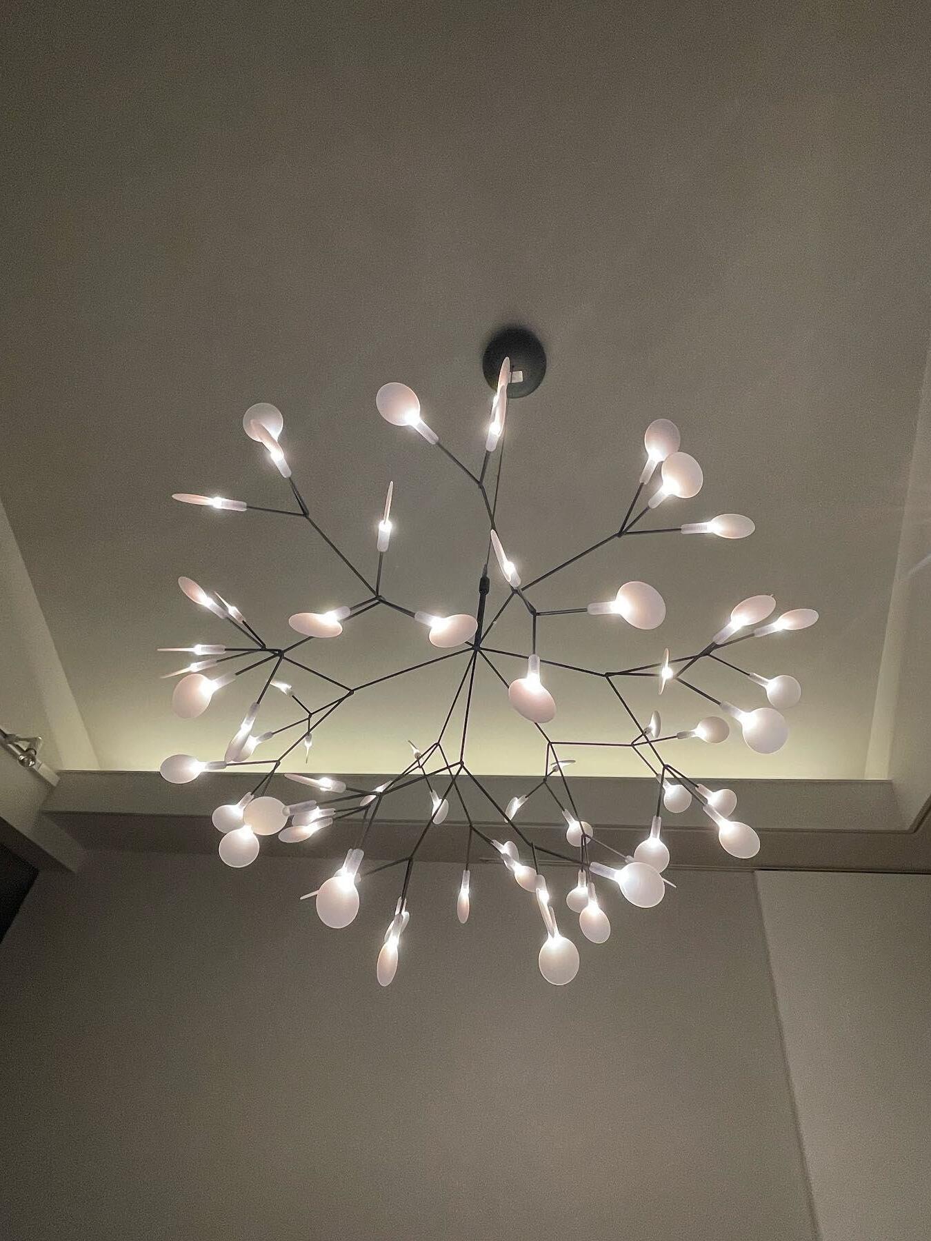 Black Heracleum Chandelier - Cueteks
