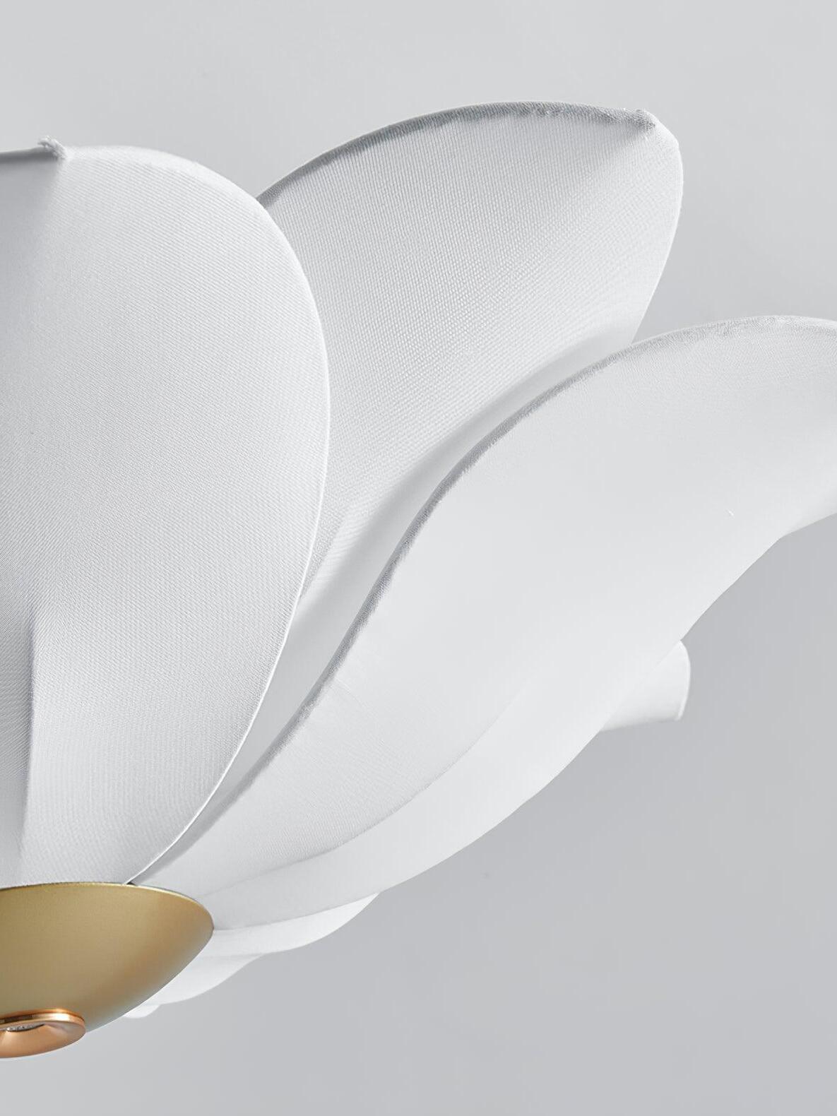 Layered white petal edges beside gold underside