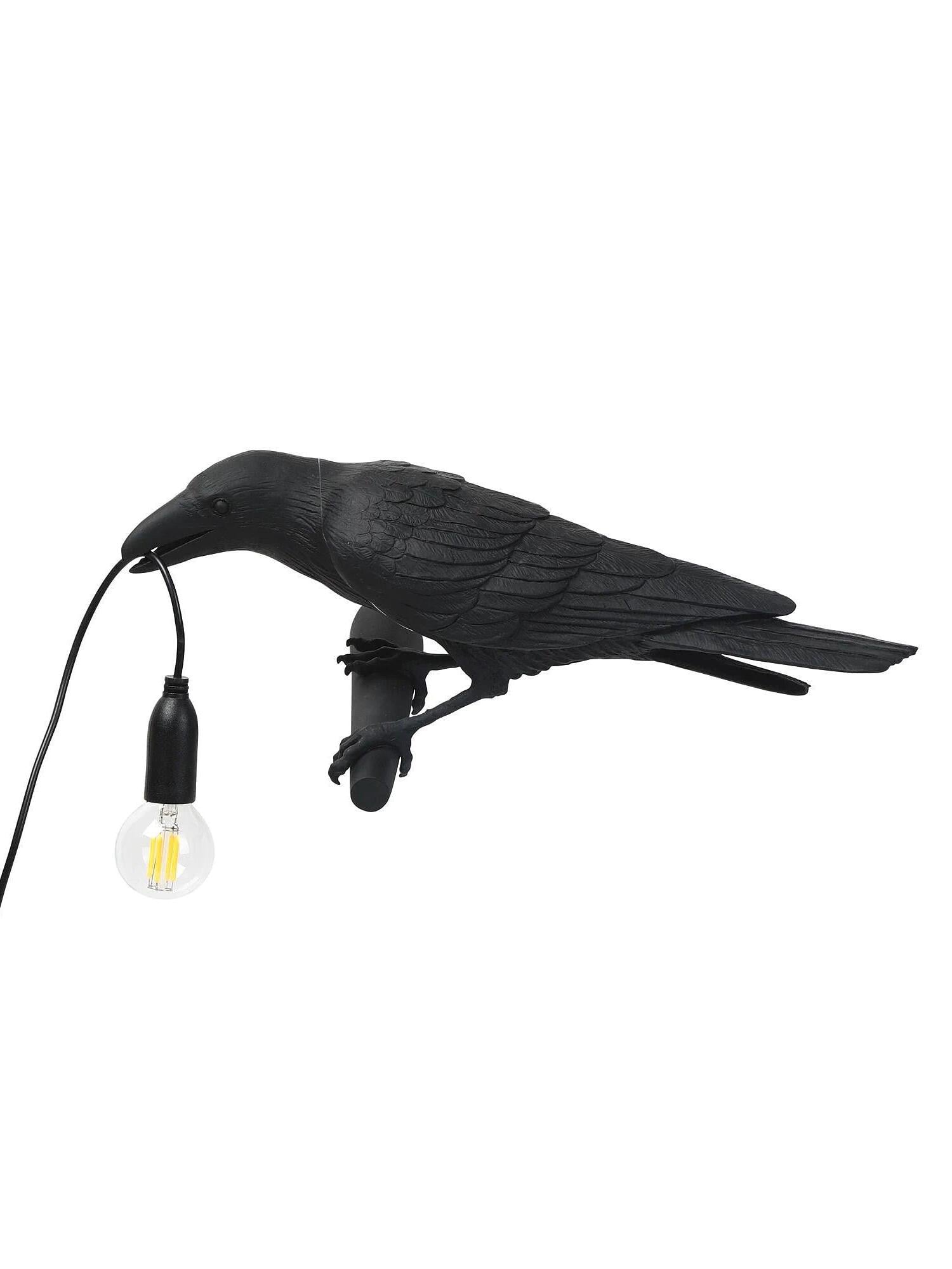 Black bird isolated against white, holding a cord with an unlit filament-style globe bulb
