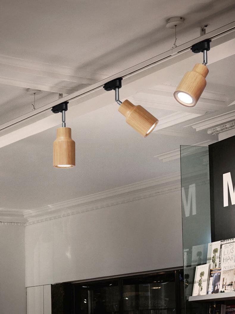 Ceiling track heads with one angled and lit