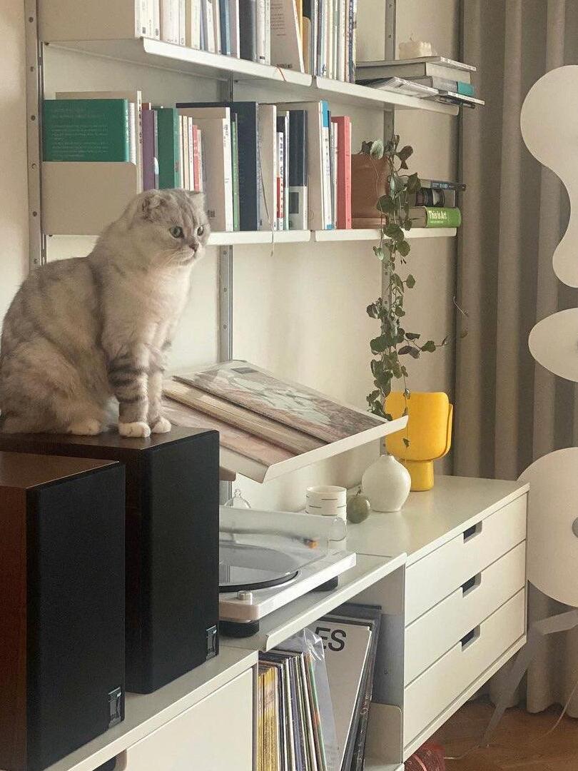 Partial white panel lamp beside shelves