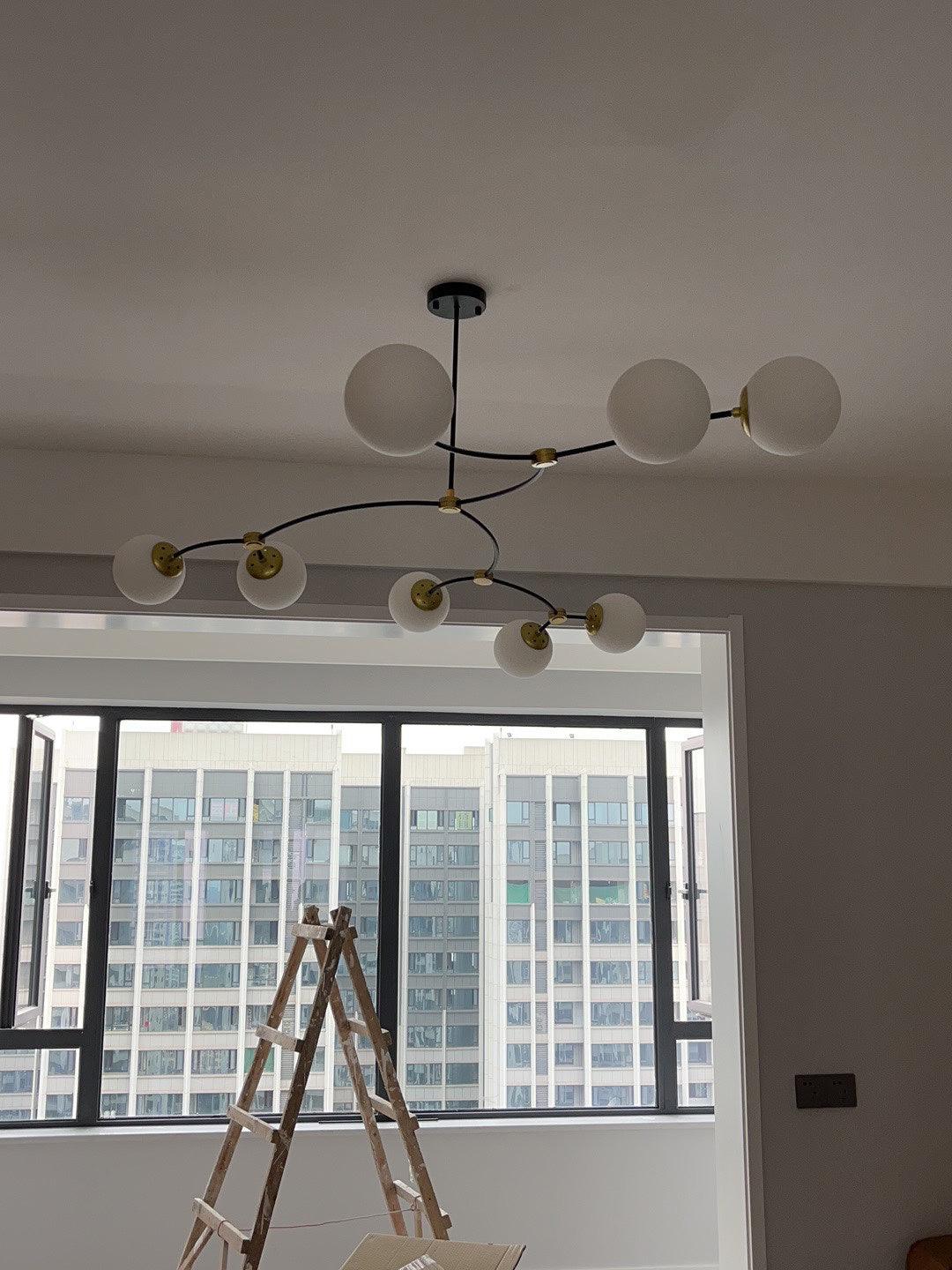 Wide branching fixture viewed near a window