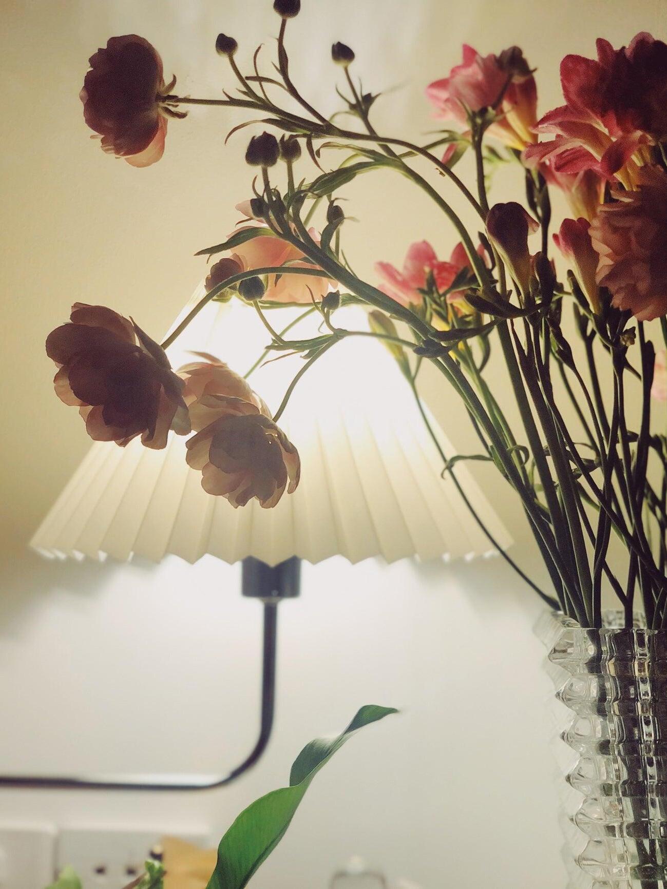 Close view of pale pleated fabric shade near flowers