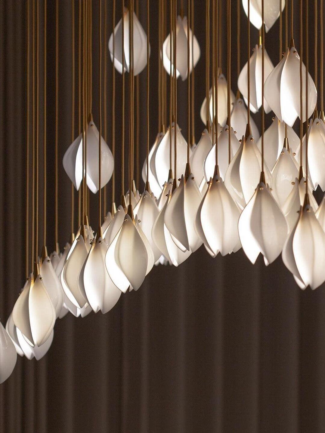 Close-up of many illuminated petal shades