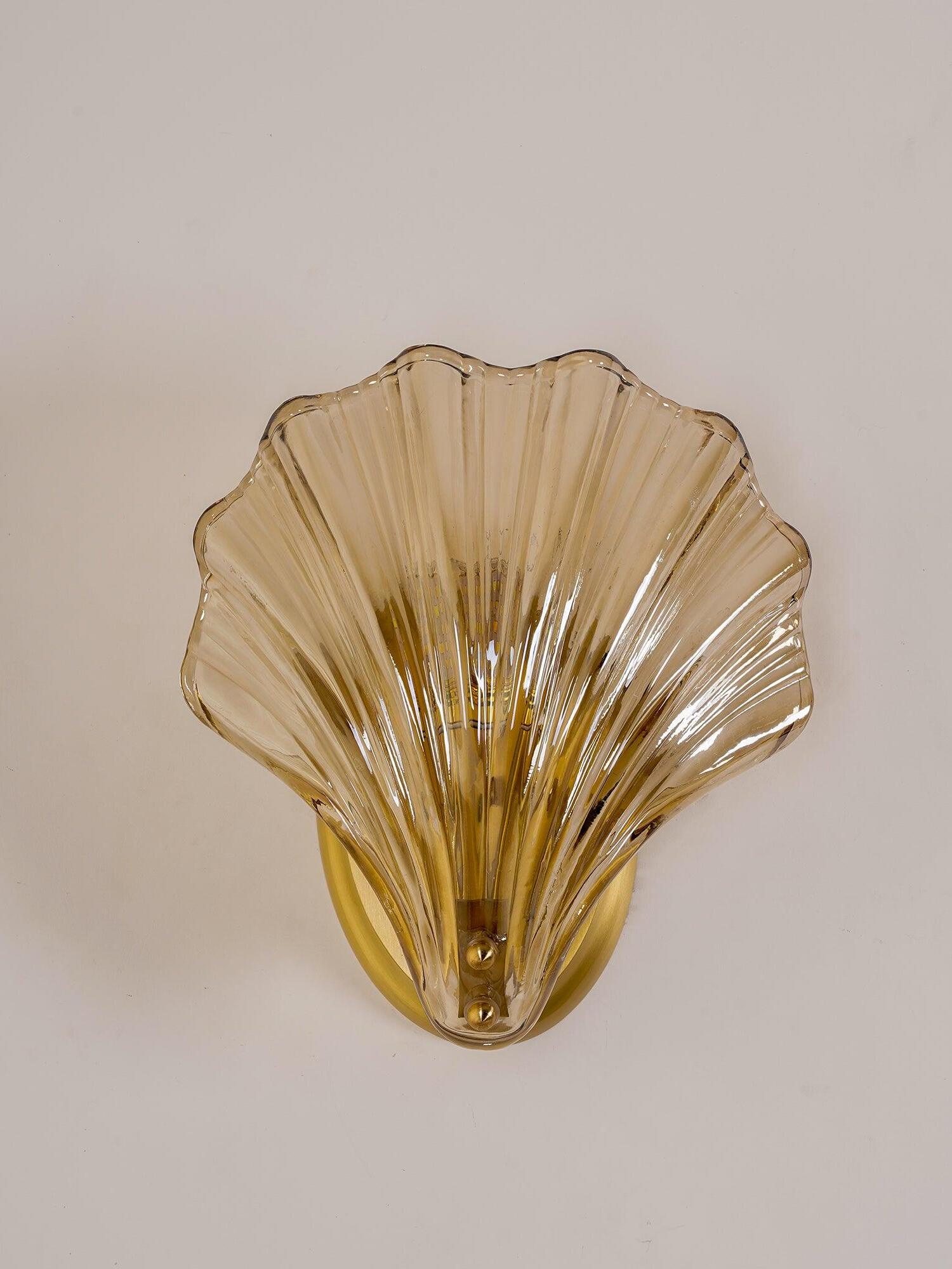 Shell Wall Light - Cueteks