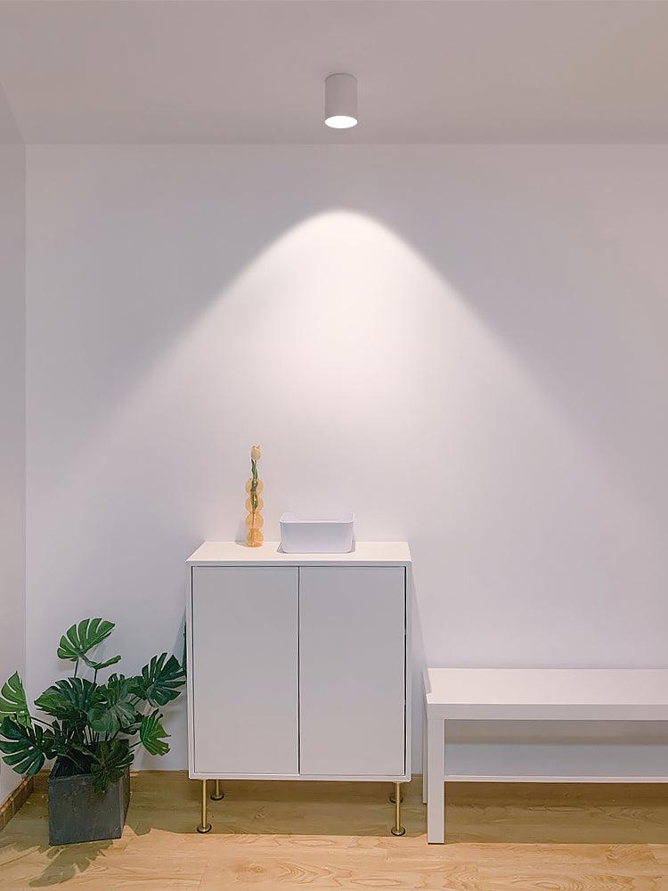 Single white ceiling light above an entry cabinet, bench and floor plant, casting a broad pool onto the pale wall