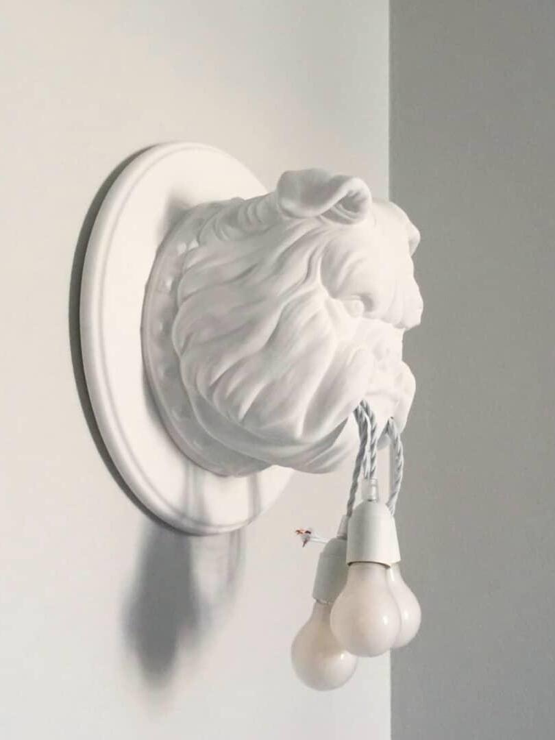 White bulldog head and cords seen from the side