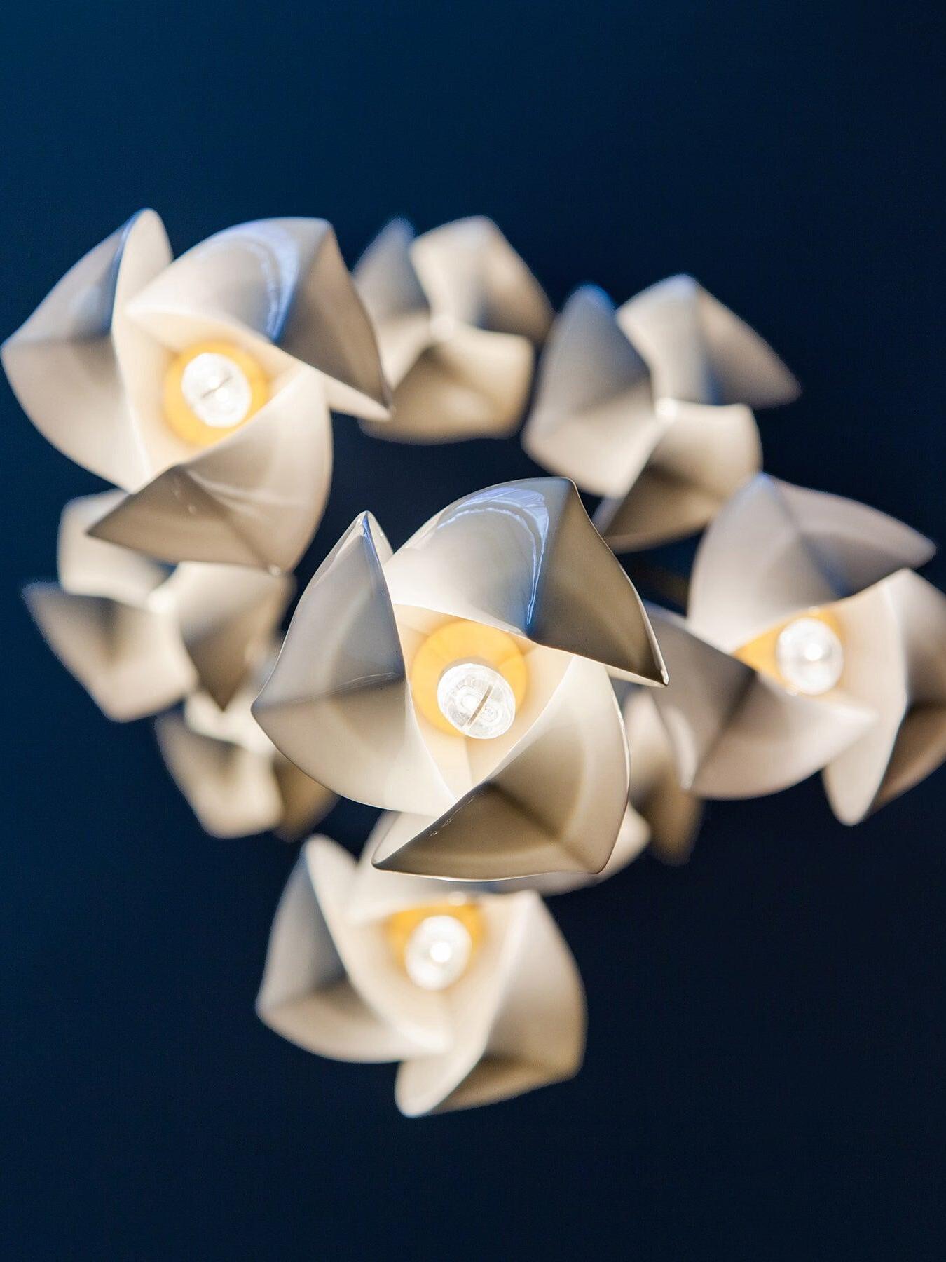 Underside view of petal shapes around light sources