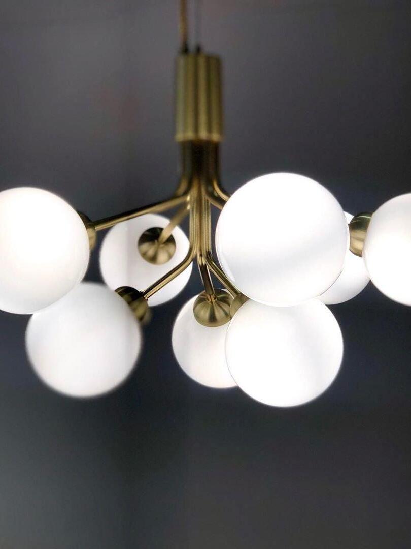 Apiales Chandeliers - Cueteks