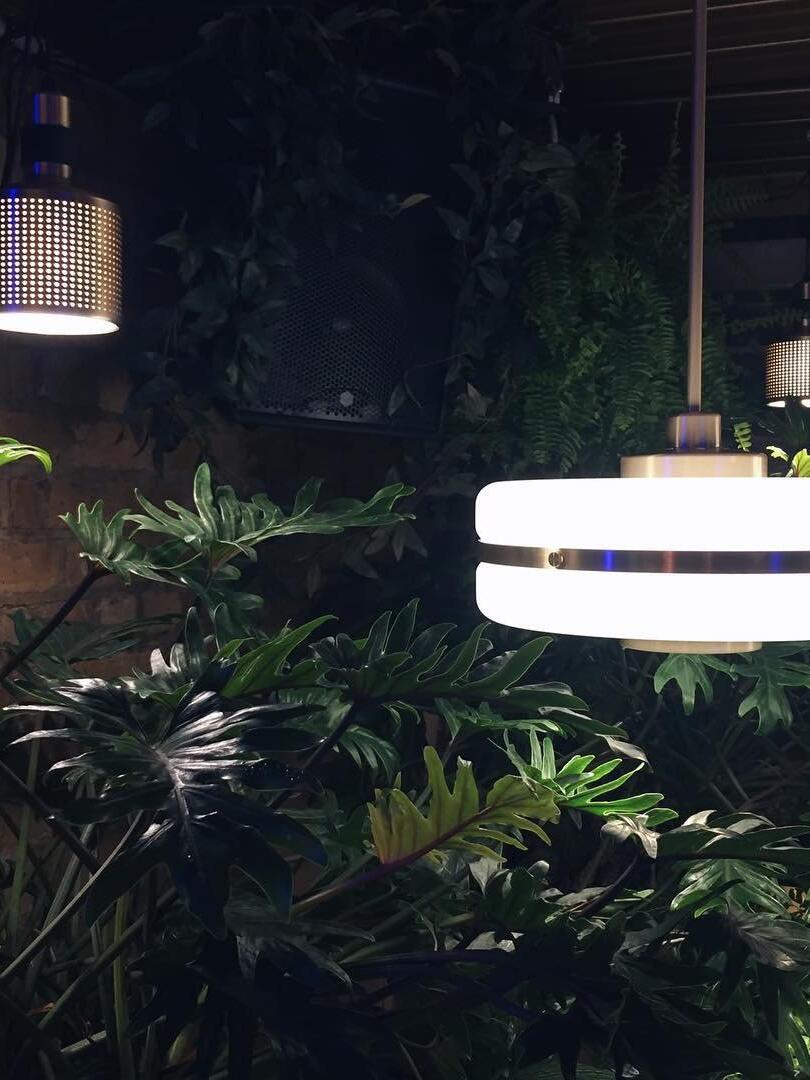 Lit Masina shade beside indoor foliage