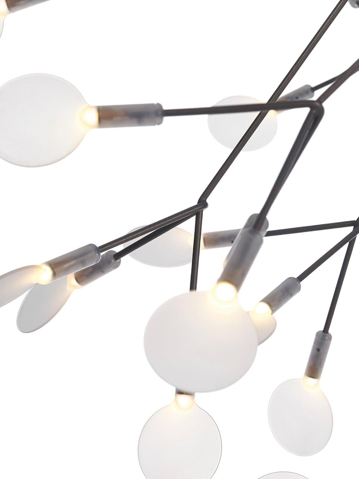 Black Heracleum Chandelier - Cueteks
