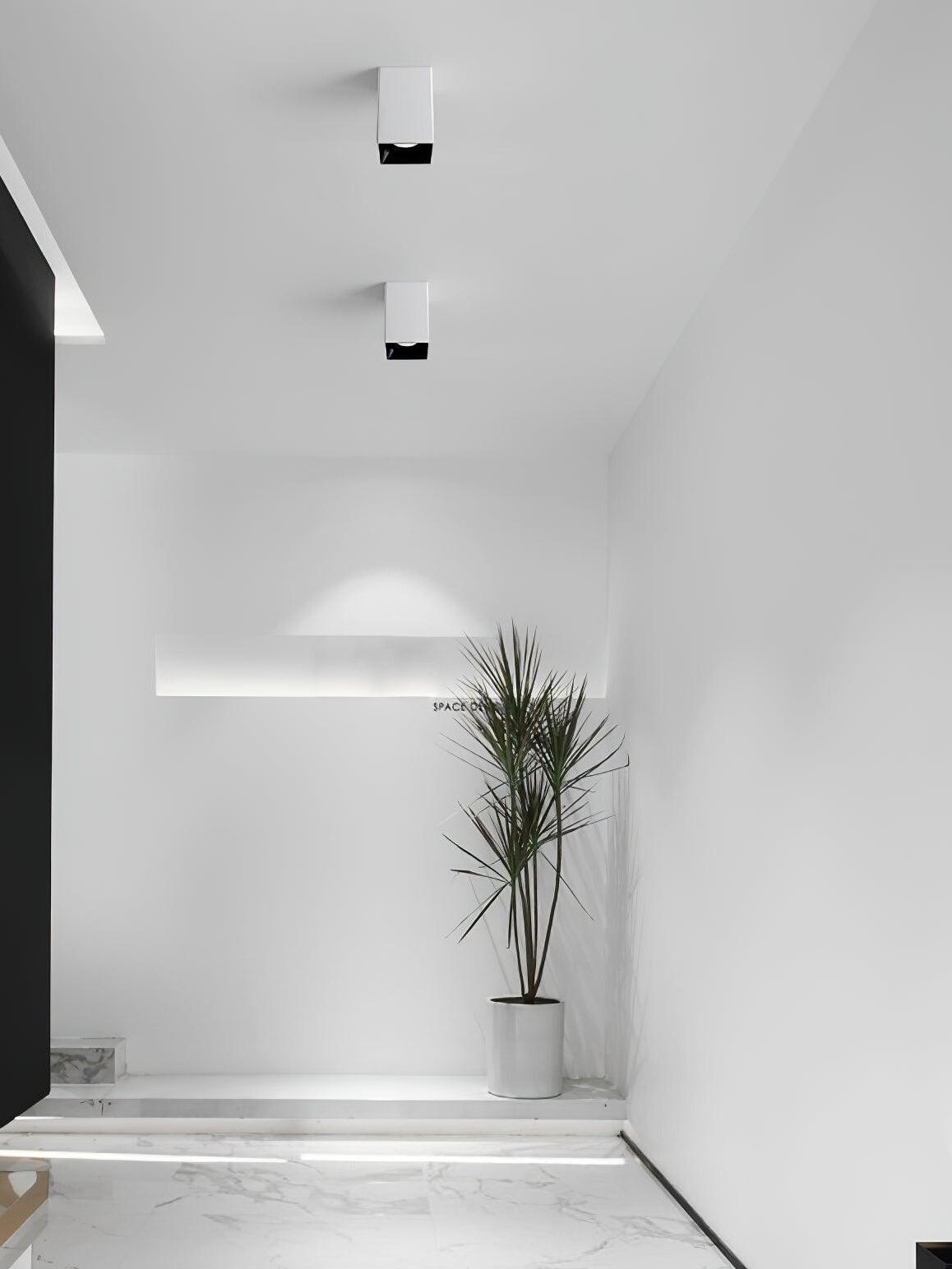 Two white square ceiling spots above an entryway with pale walls and a potted plant