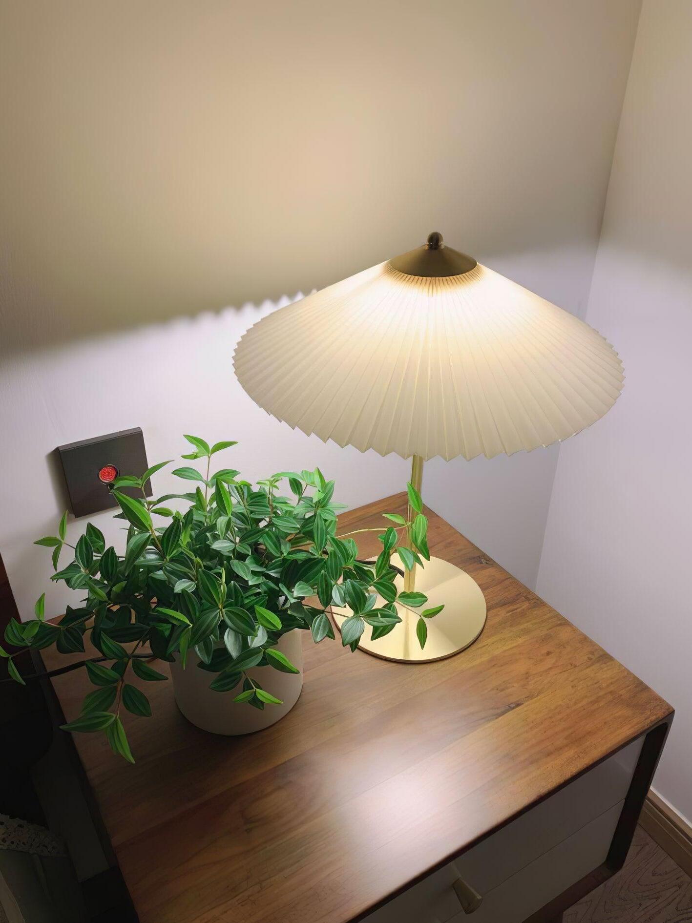 Top angled view of the lit pleated shade and disk base beside a green plant on a wooden cabinet