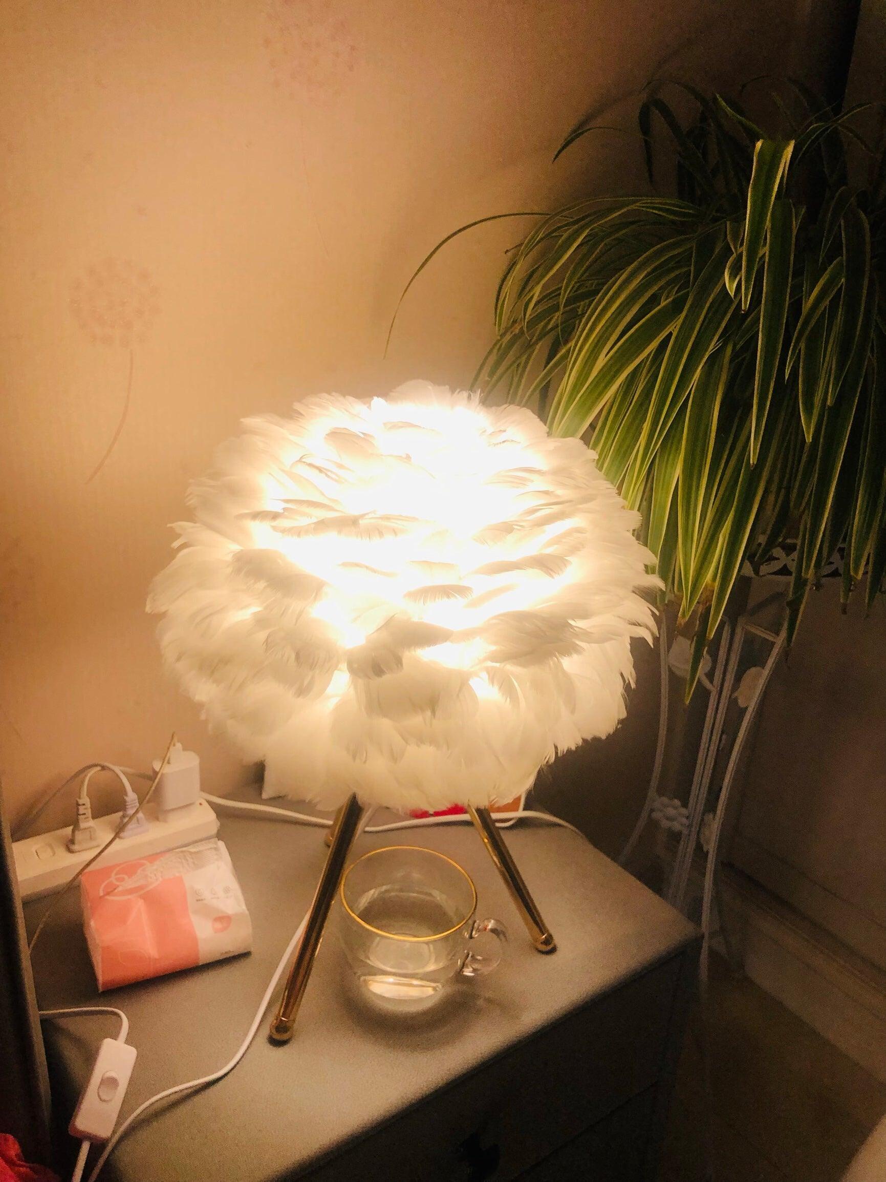 White feather shade glowing by green plant