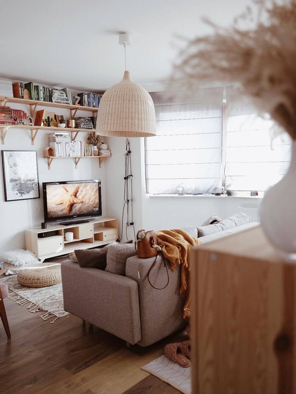 Rattan pendant near bookshelves and window