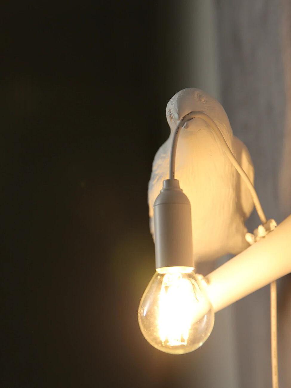 Front close-up of the white bird, beak-held cord and lit globe bulb beside the wall perch