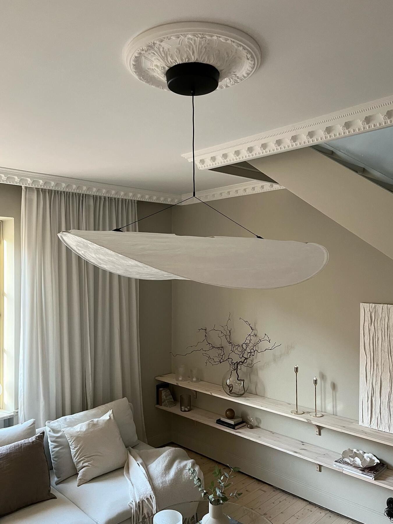 Tense suspended from a black canopy beneath a ceiling rose