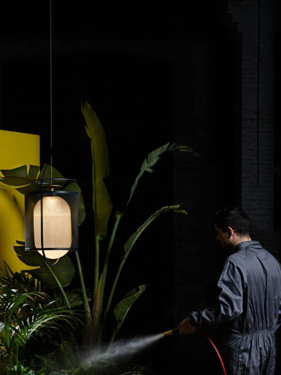 Hanging black lantern near plants and person spraying water