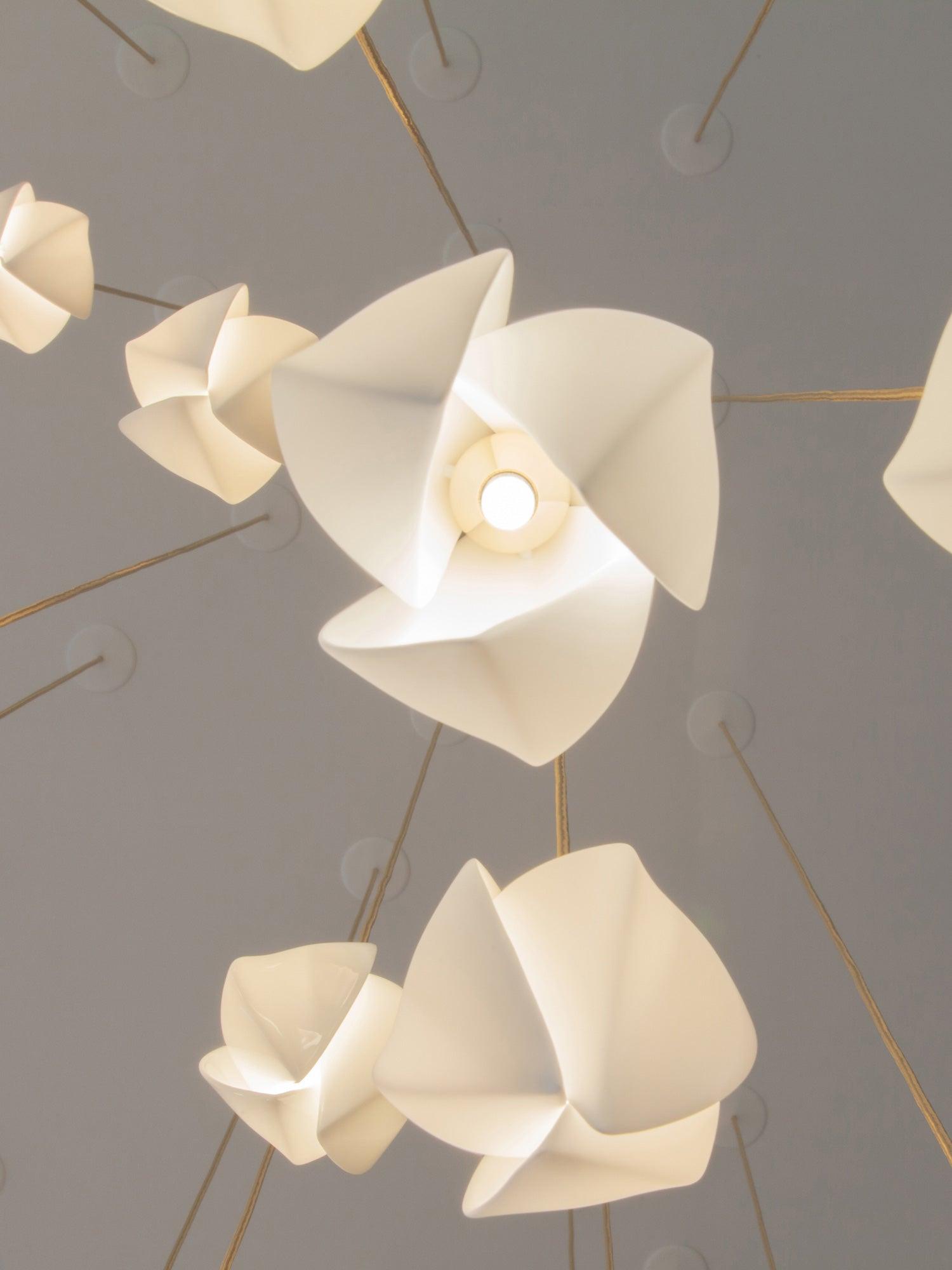 Petal shades photographed from below
