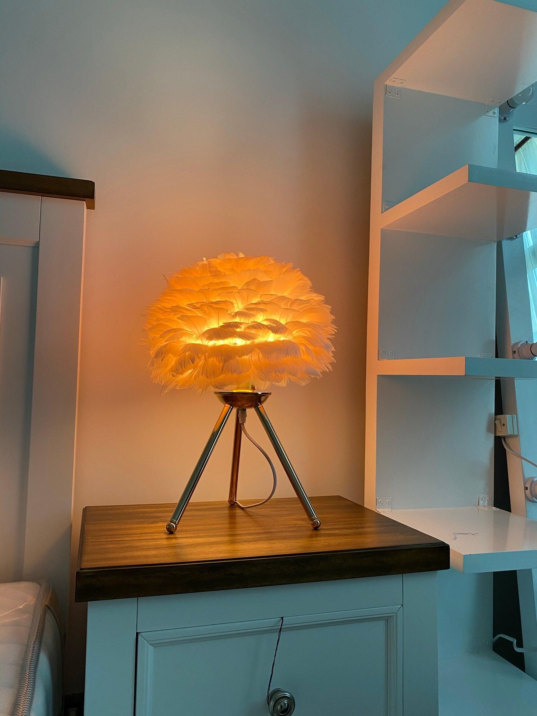 Warm glowing feather lamp on wooden cabinet