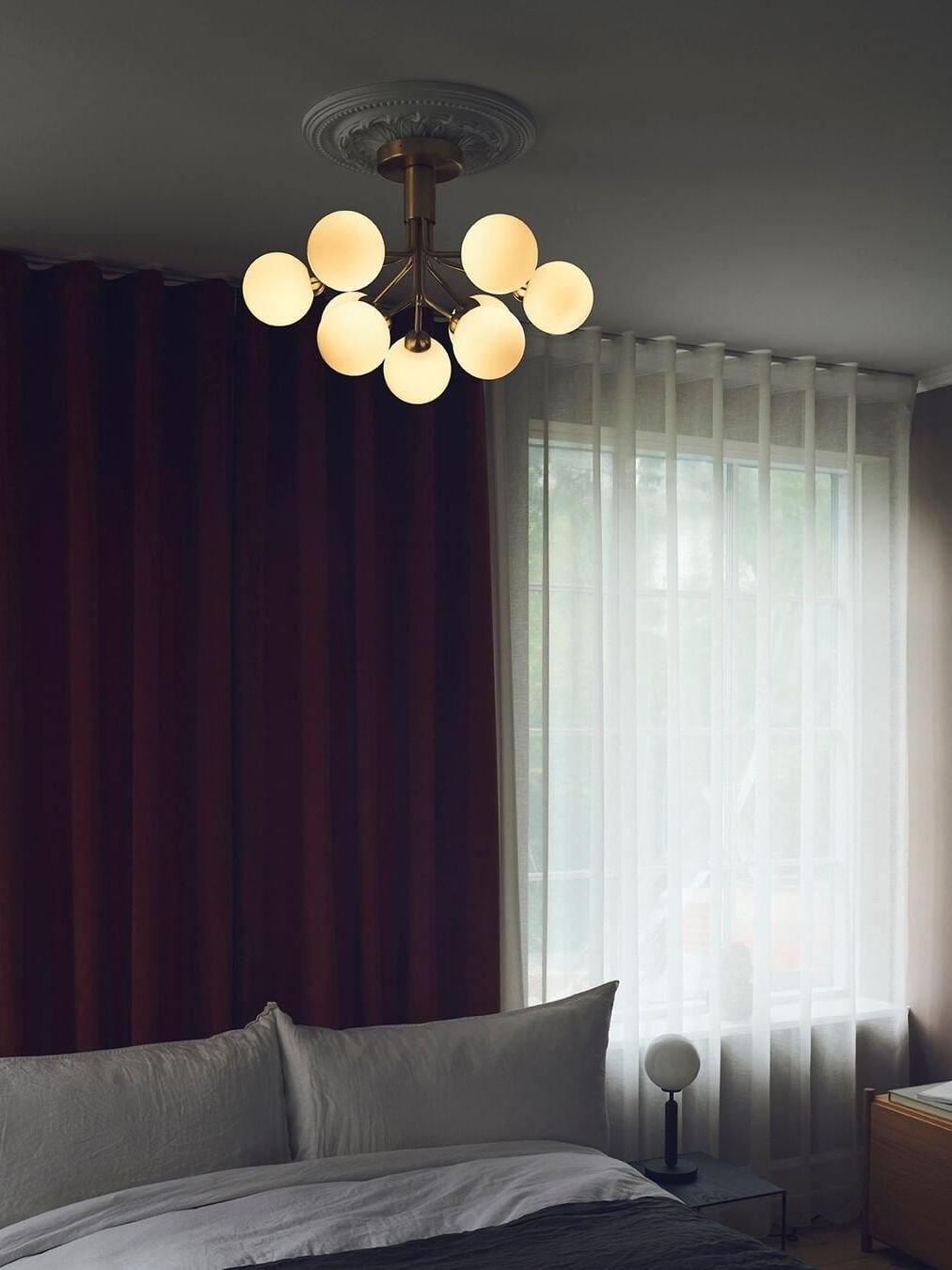 Apiales Chandeliers - Cueteks