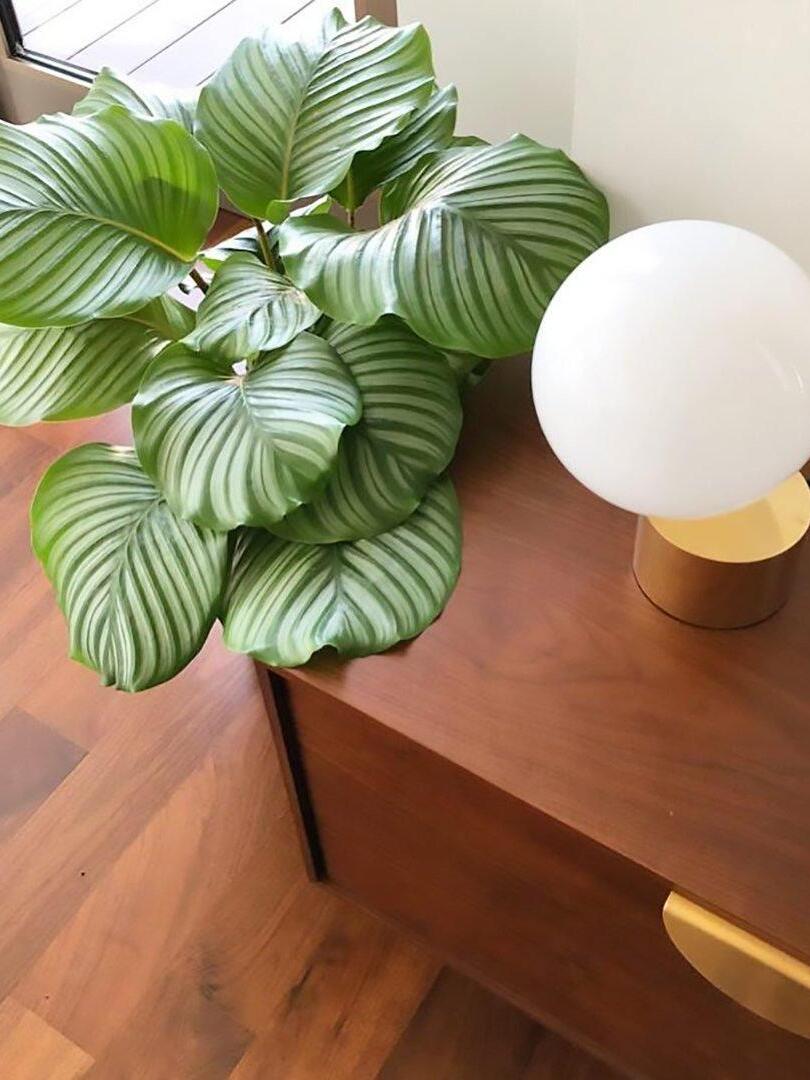 Modern Tip of The Tongue Glass Ball Table Lamp - Cueteks
