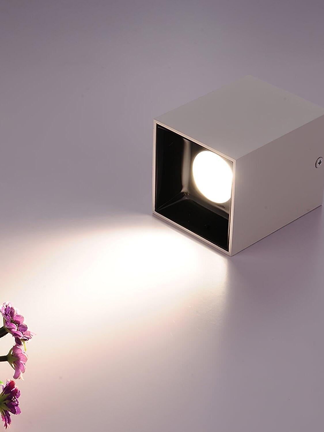 Lit white spotlight on its side casting a pool of light beside partially visible purple flowers