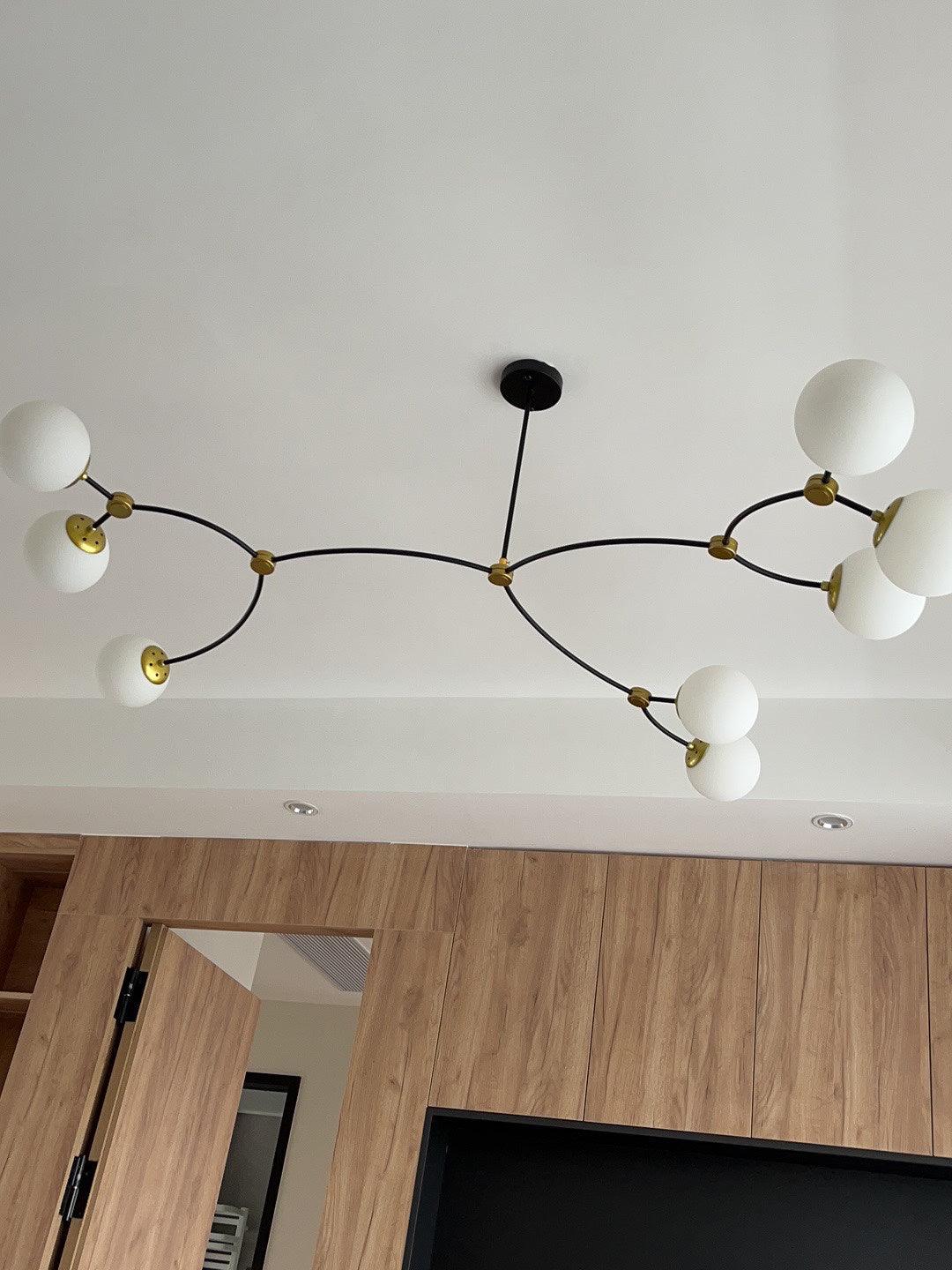 Wide white globe branches above a wood-panelled wall