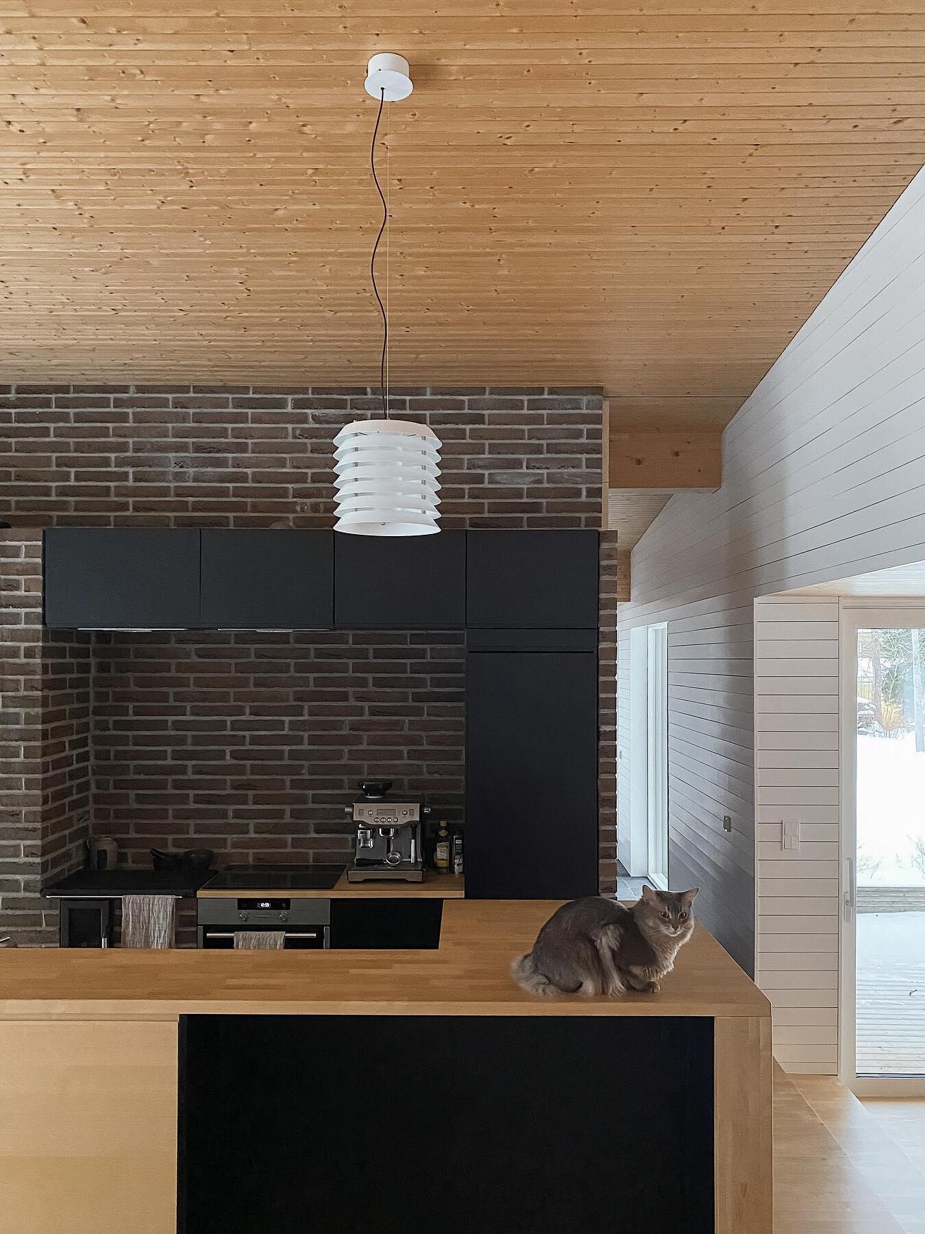 White layered pendant over wood kitchen island with dark cupboards and cat