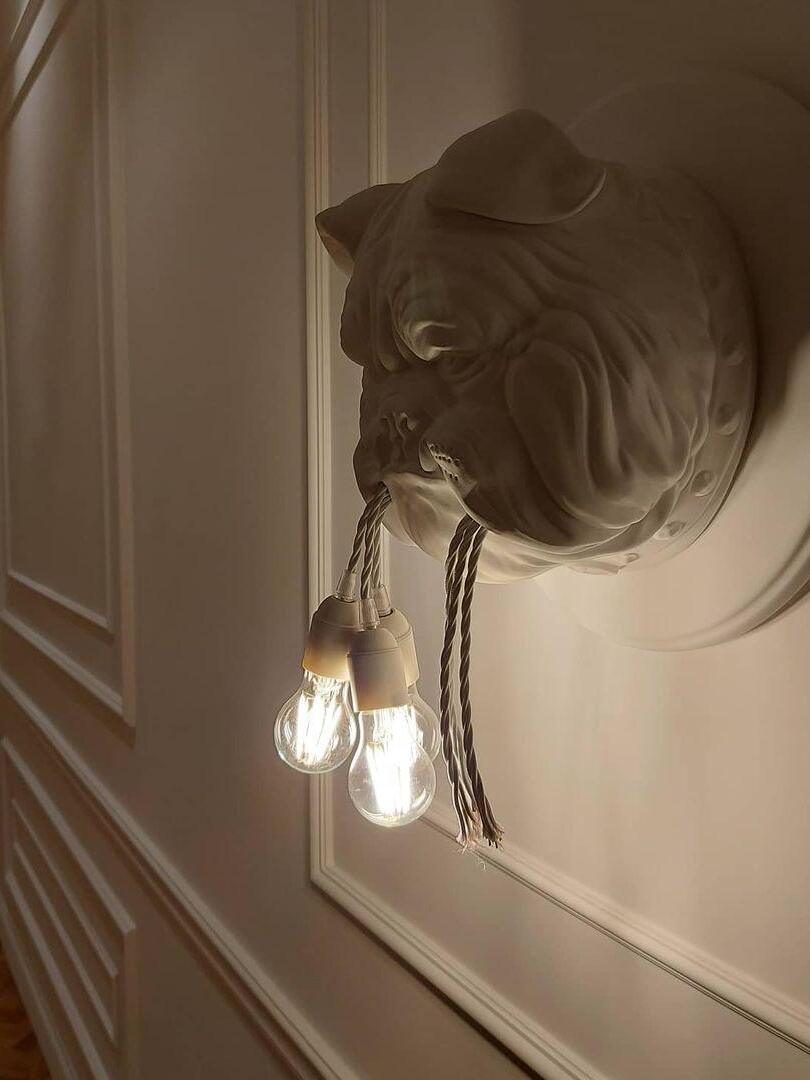 Bulldog wall fixture with glowing bulbs above wall moulding