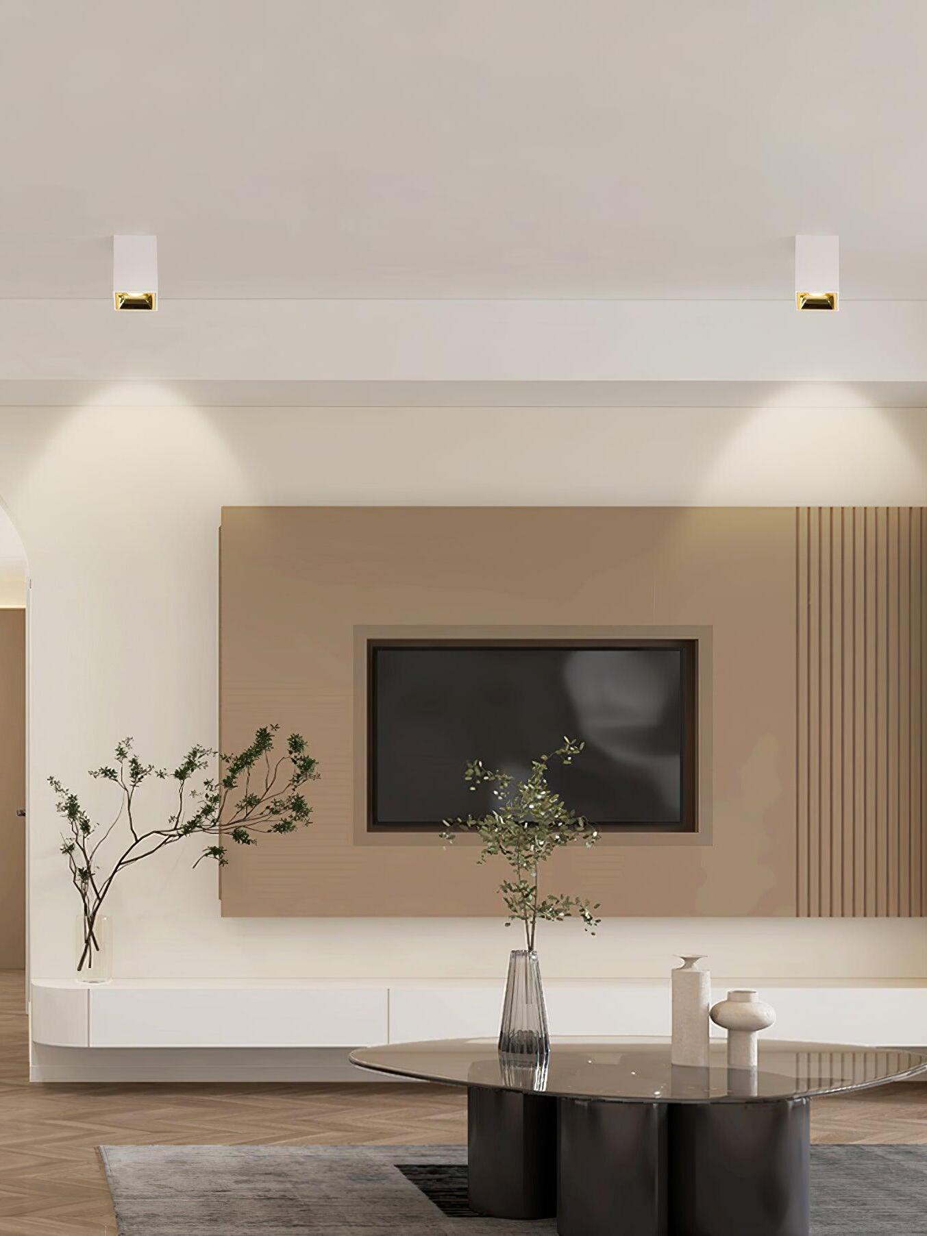 Two white ceiling spots with gold-looking recesses above a television wall and vases
