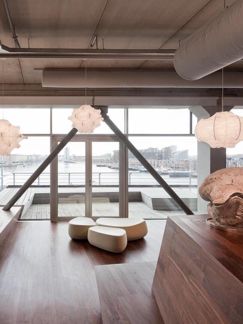 Taraxacum Suspension Lamp - Cueteks