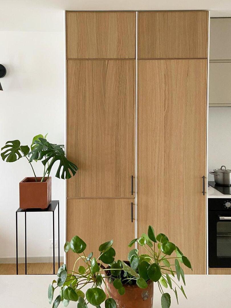 Wardrobe and plants with part of a dark wall fixture at left edge