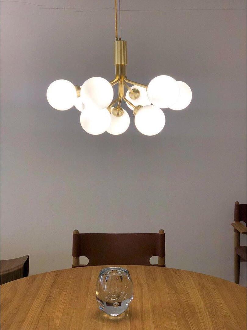 Apiales Chandeliers - Cueteks