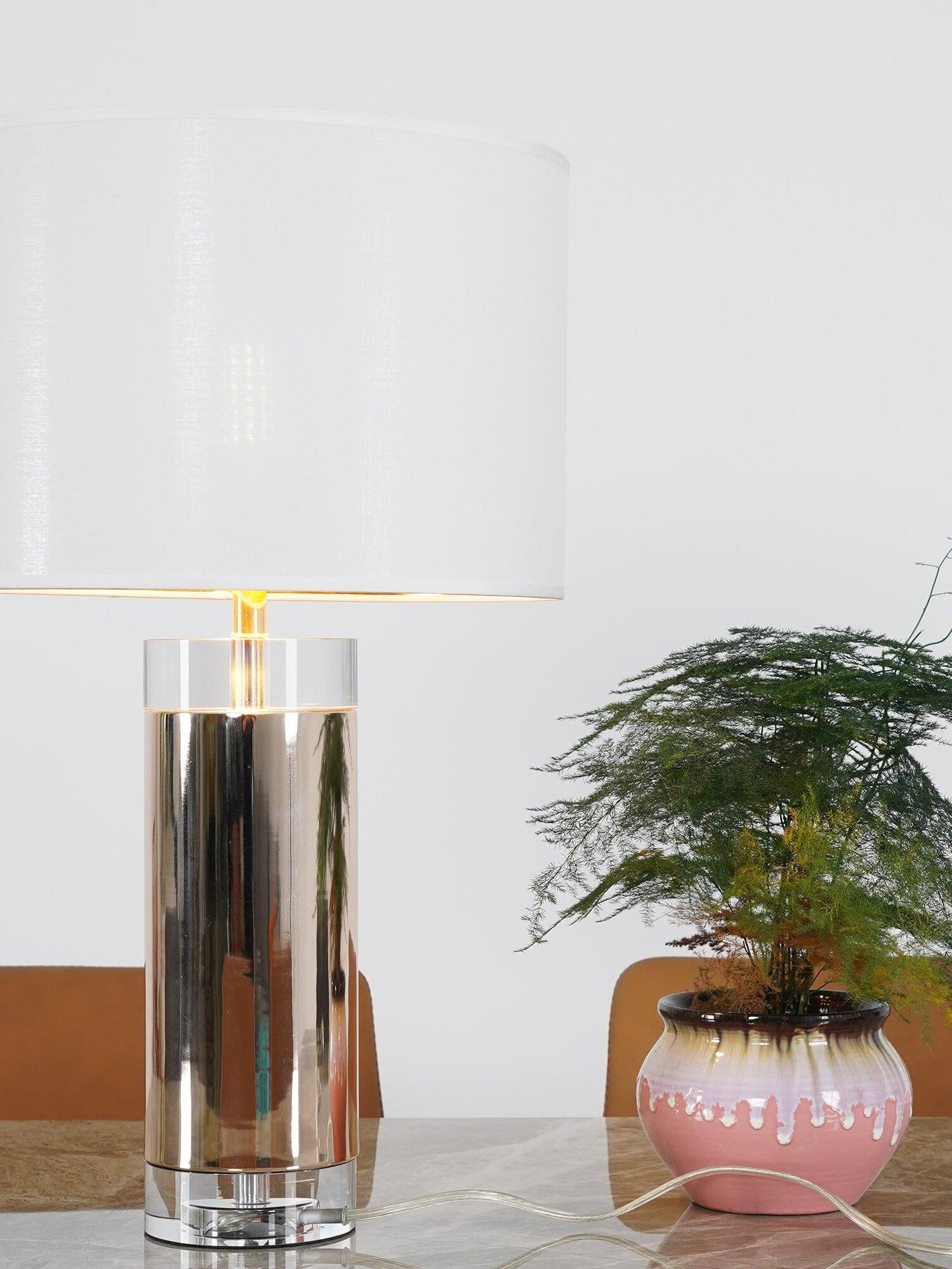 Lit white-shade cylindrical lamp with clear base beside plant in pink pot