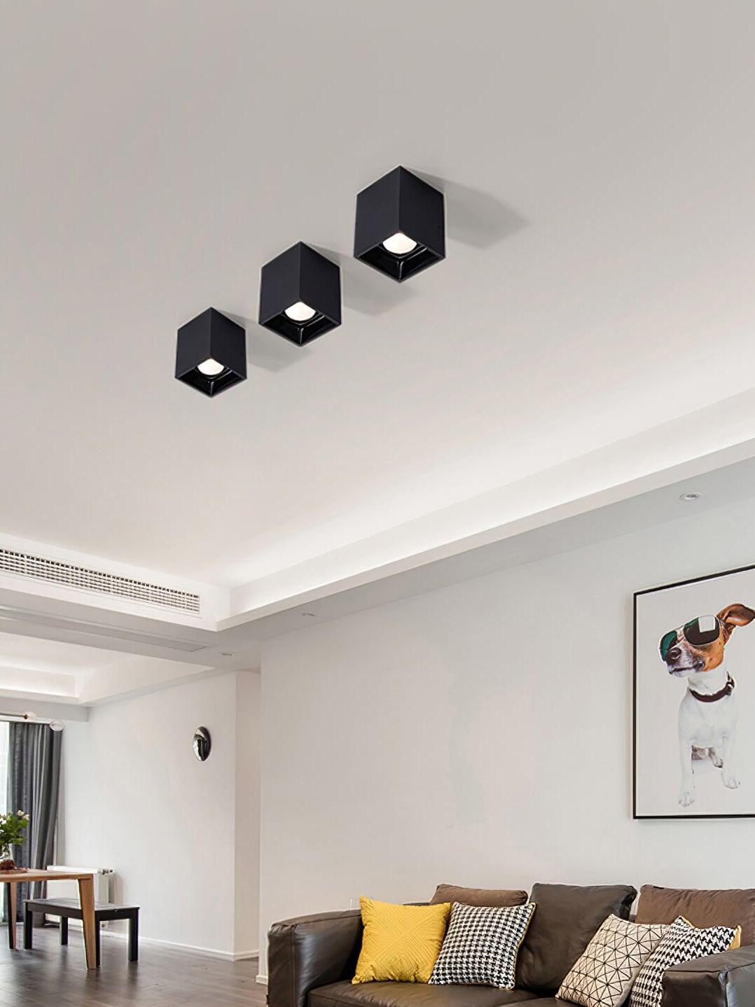 Three black square ceiling spots above a gray sofa with yellow cushions and dog artwork