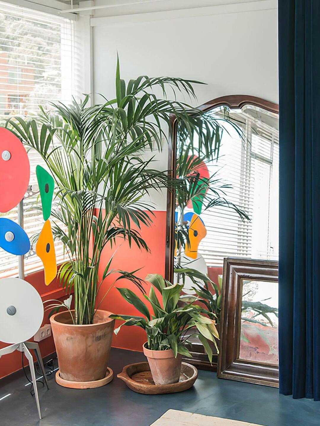 Multicolour floor lamps near indoor plants