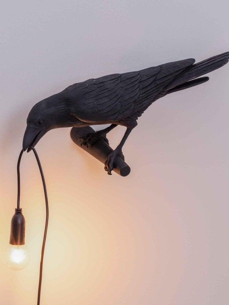 Close oblique black bird view with an illuminated hanging bulb and long cable