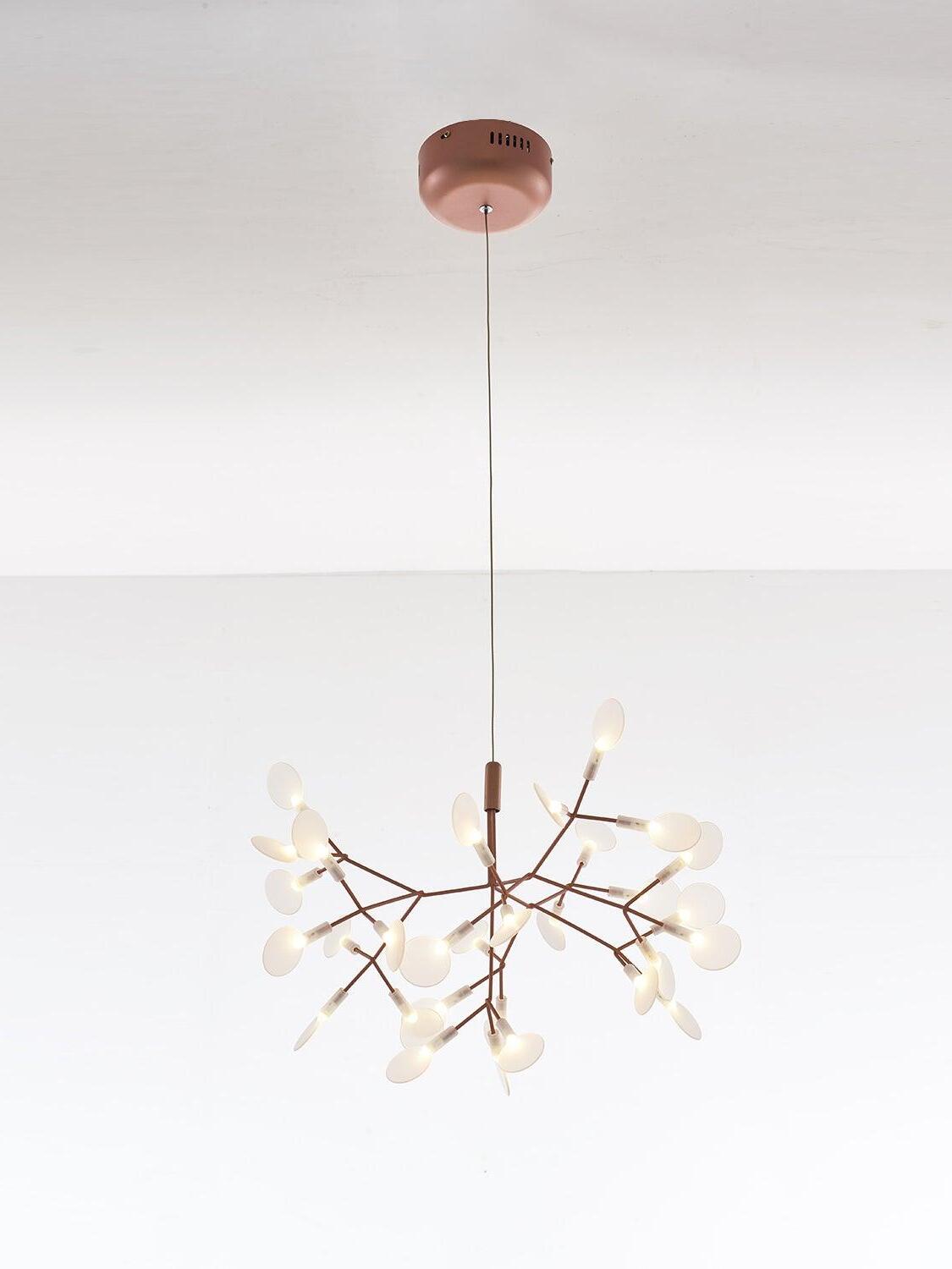 Heracleum Chandeliers - Cueteks