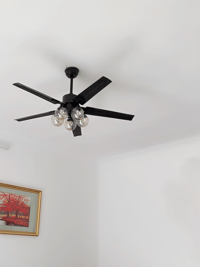 Five-blade fan with small glass light cluster
